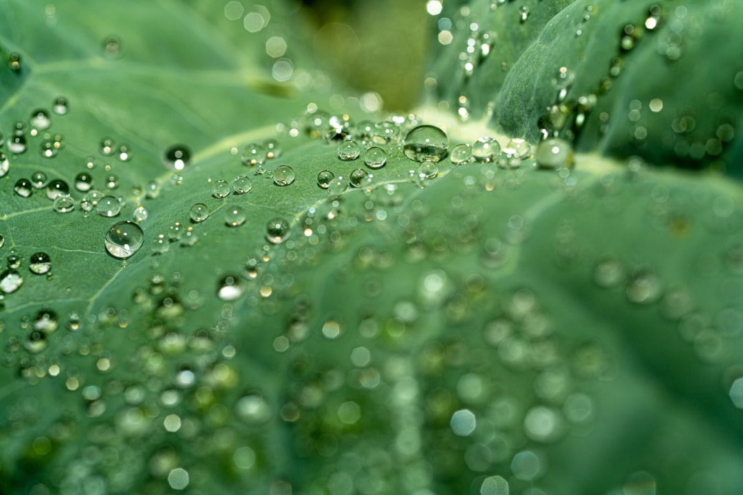 Transform Your Garden with Simple Landscaping Magic