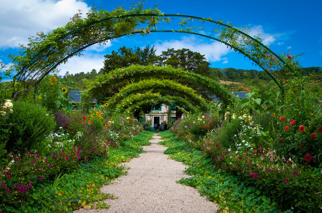 Unleash the Magic of Permaculture Gardening