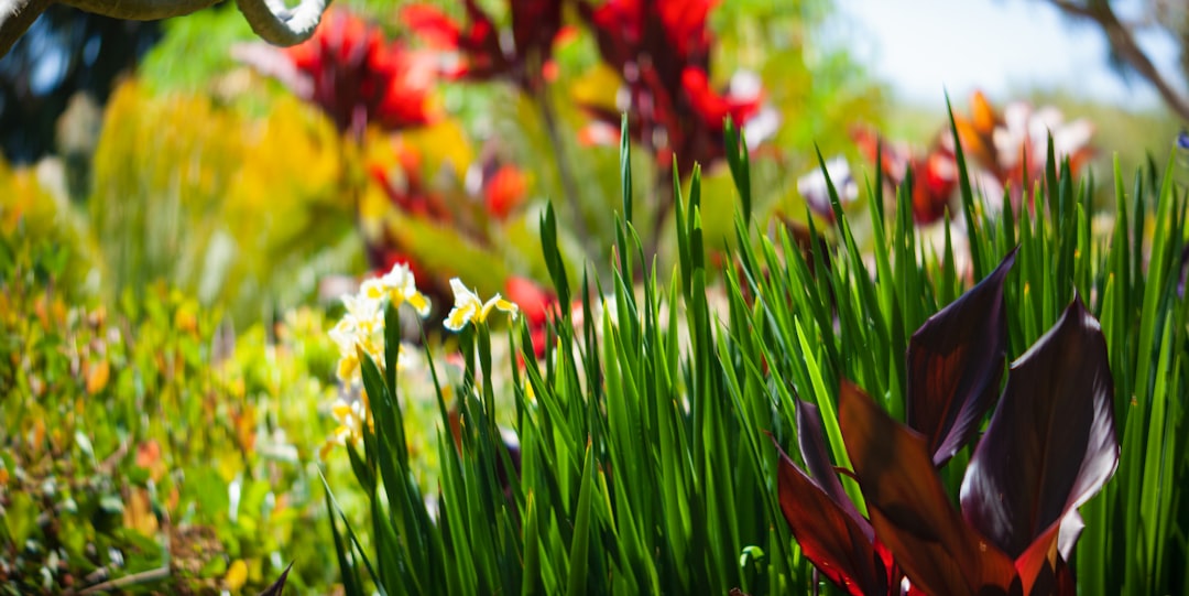 Unleashing the Magic of Gigantic Veggies in Your Garden