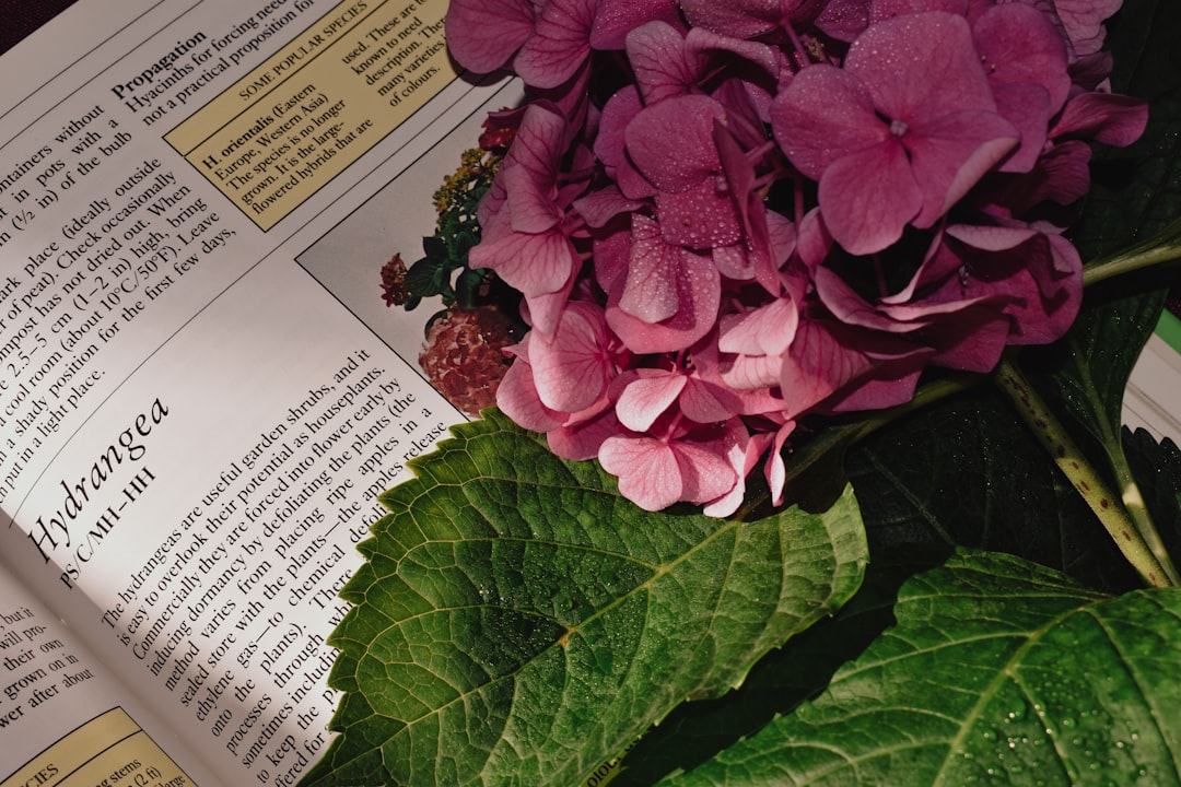 Unleashing the Culinary Delights of Perennial Flowers