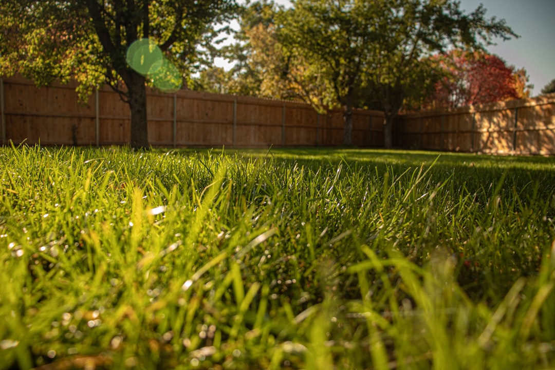 Banishing Yellow Jackets: A Natural Approach for Your Garden