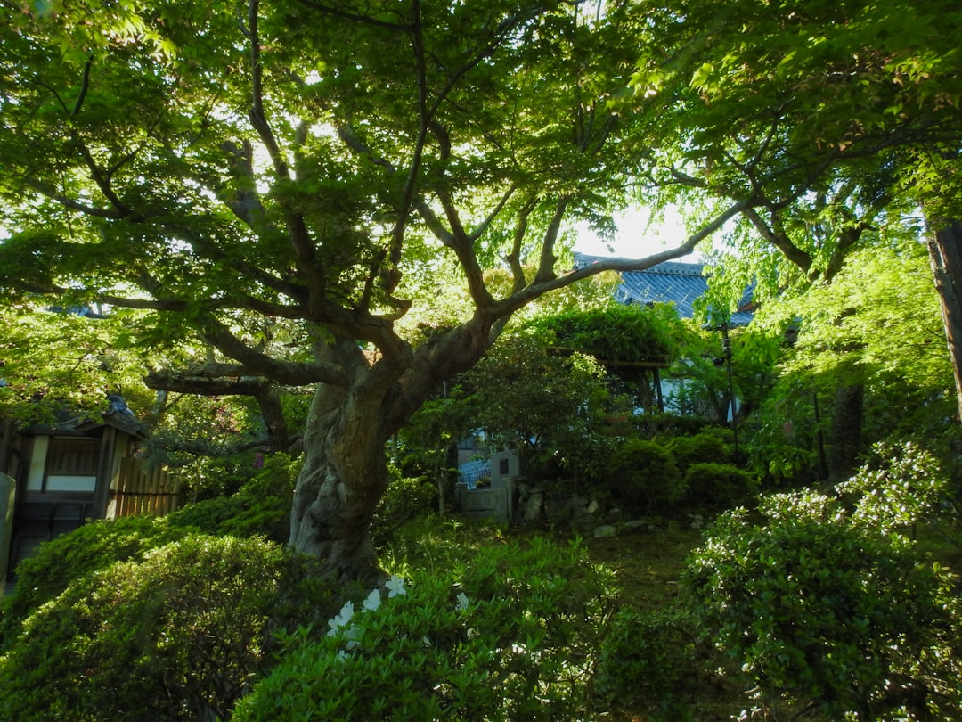The Secret to a Thriving Yard: Regular Compost Turning