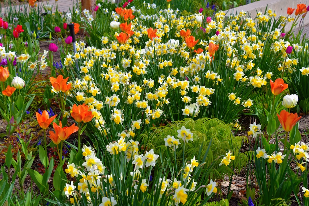 The Resilient Champions of the Garden