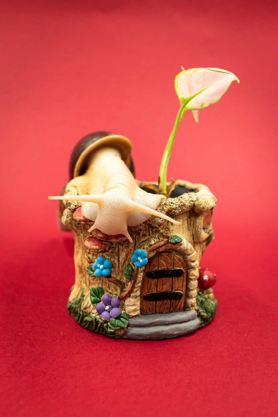 The Secret to Welcoming Hummingbirds in Your Garden