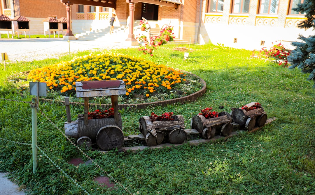 Transforming Yard Debris into Gardening Wonders