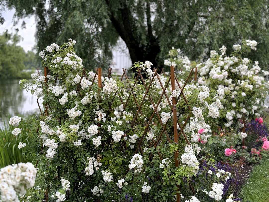 Cultivating a Stunning Edible Oasis