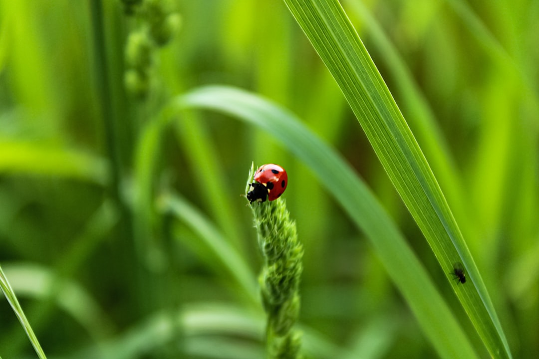 Prolong Your Vegetable Harvest: Shielding Crops from the Cold Prolong Your Vegetable Harvest: Shielding Crops from the Cold