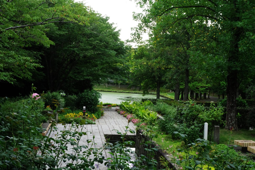 The Wonders of Yard and Plant Care
