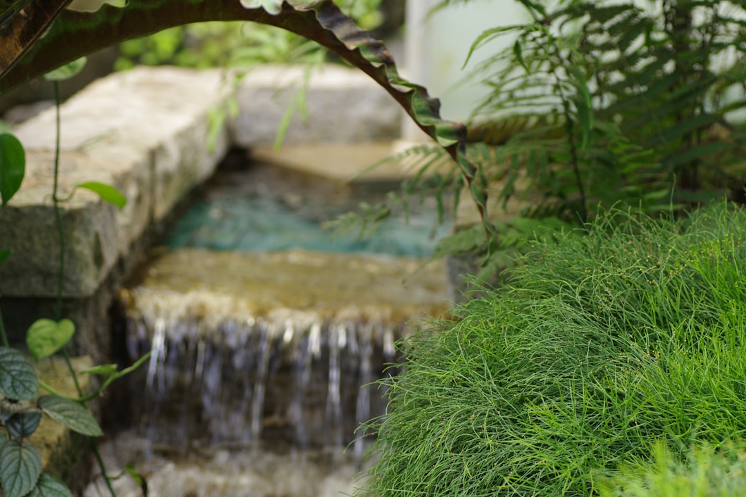 Unleash the Floral Magic: Ideal Clematis Varieties for Your Garden