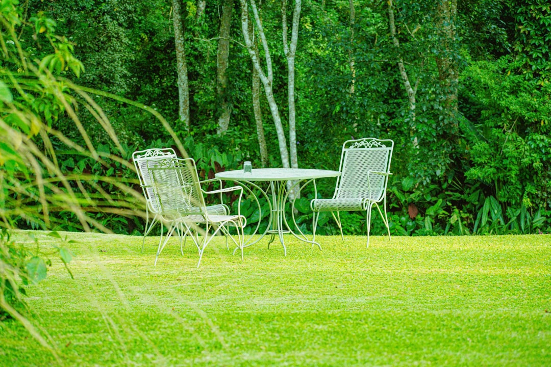 Unveiling the Charm of Penstemons in Your Garden