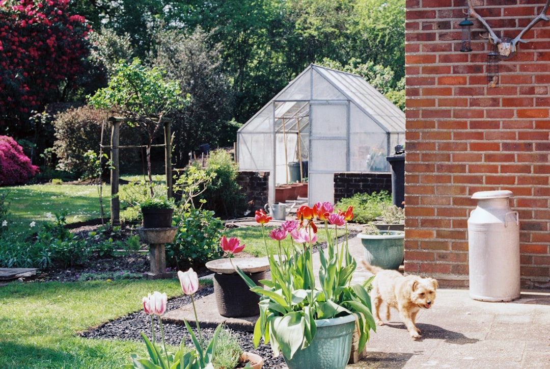 The Enchanting World of Aromatic Gardens
