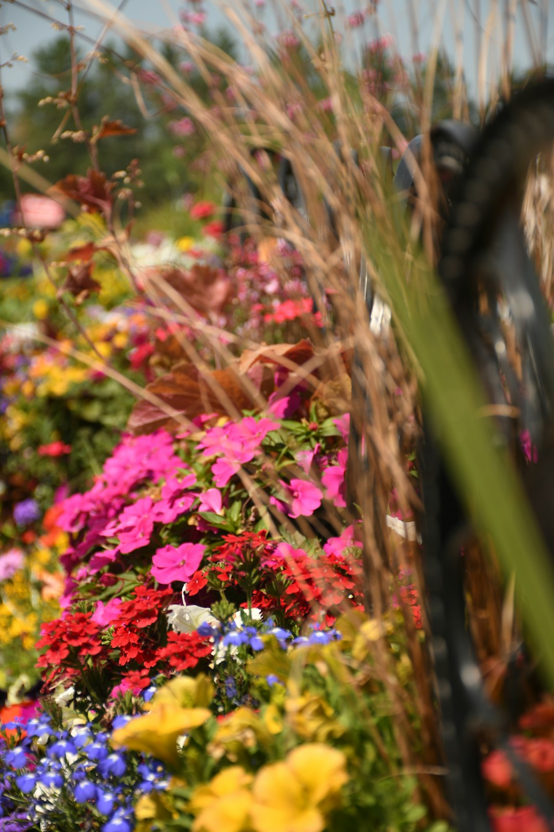 Transform Your Yard with Wooden Hardscapes