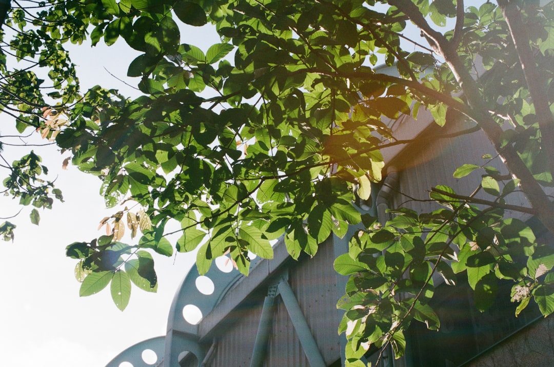 Transform Your Backyard with a Storm - Catching Oasis