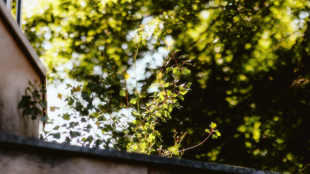 The Secret to a Thriving Organic Garden
