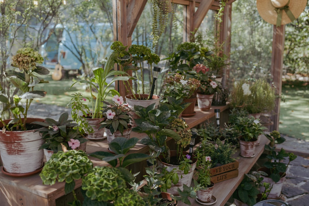Unleash the Magic of Pumpkin Growing in Your Backyard
