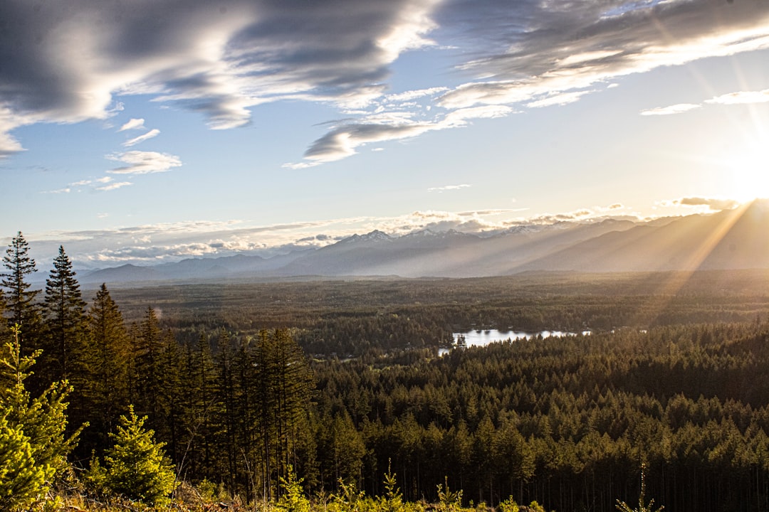 Conquering the Unwanted Guests in Your Yard