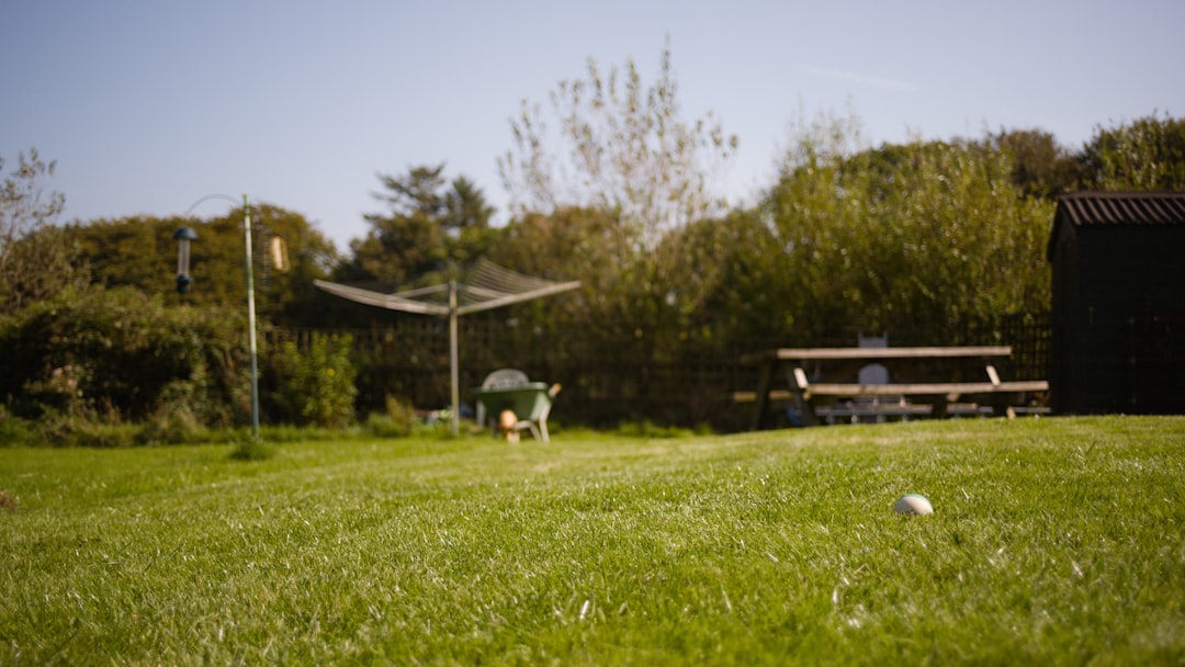 The Wonders of Perennial Grasses in Your Flower Garden