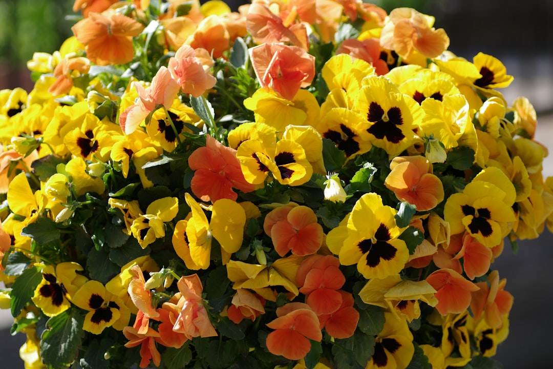 The Secret to Winter Vegetable Bounty