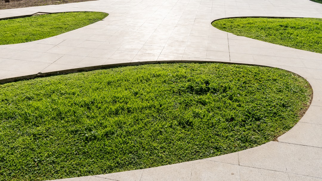 The Secret to Long - lasting Garden Tools