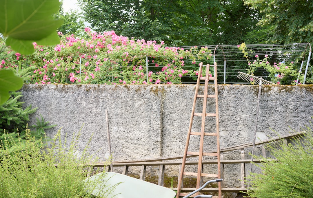 The Secret of Long - Lasting Cut Flowers