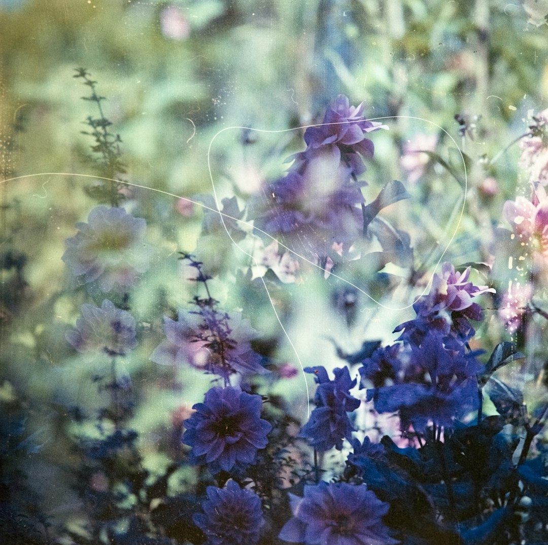 Unveiling the Wonders of Clay - Loving Perennial Flowers