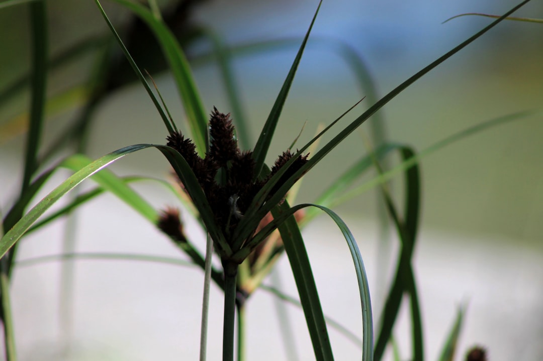 Crafting a Magical Miniature Fairy Well for Your Container Garden
