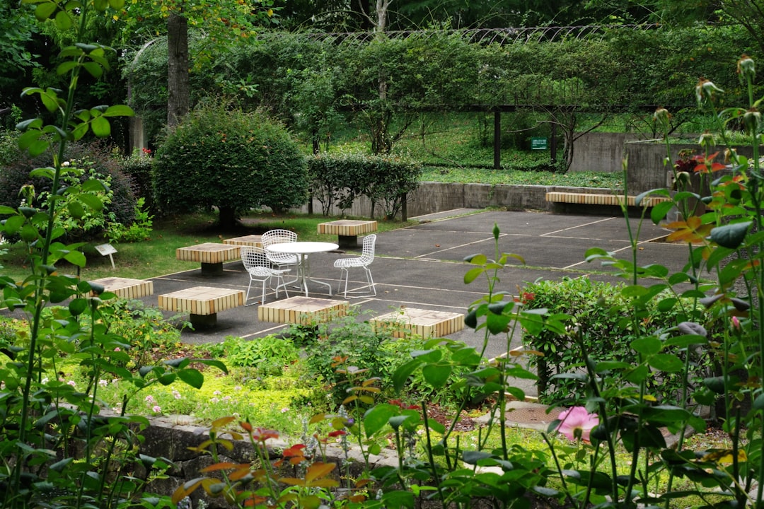 Fall Lawn Maintenance: The Key to a Healthy Yard in Winter