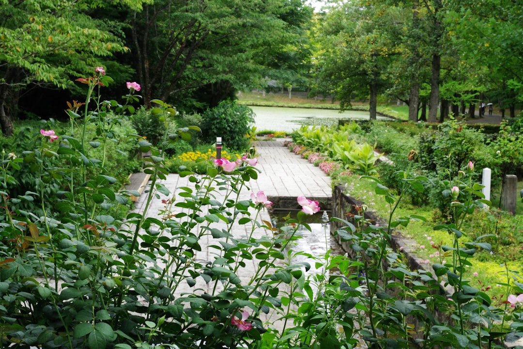 The Hidden Dangers of Baking Soda in Your Garden and Better Alternatives