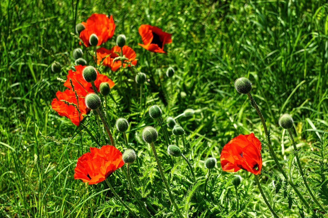 Elevate Your Gardening Game with Vertical Magic