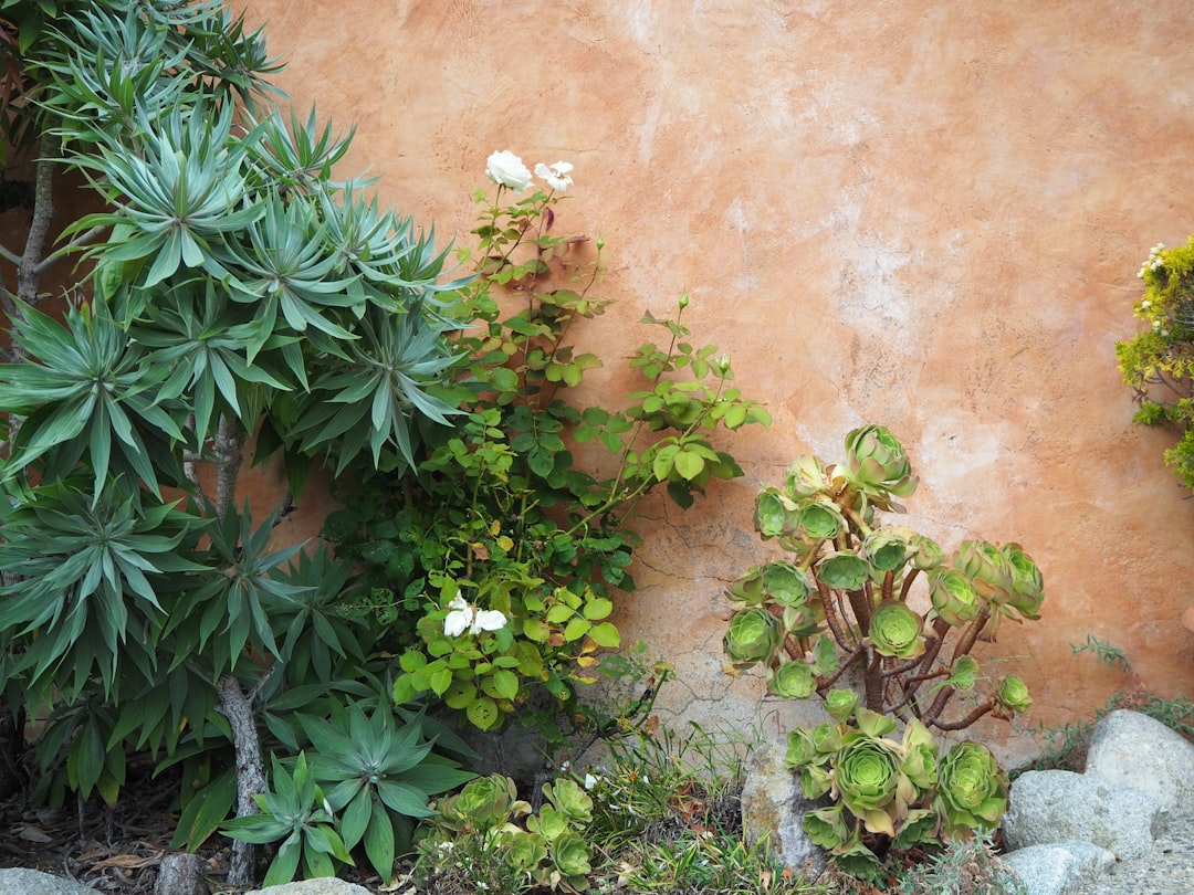 The Charms of Bush Honeysuckle in Your Garden