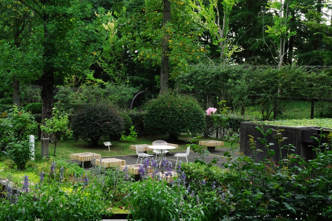 A Deer-Resistant Oasis in Your Garden