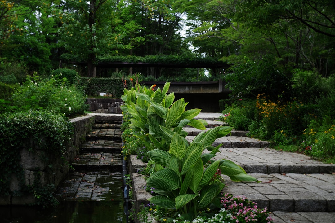 Secrets to a Year - Round Beautiful Yard