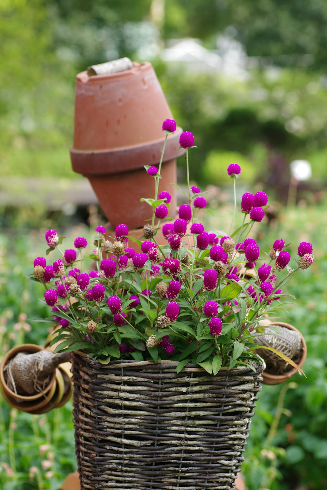 The Secret Weapon Against Garden Powdery Mildew