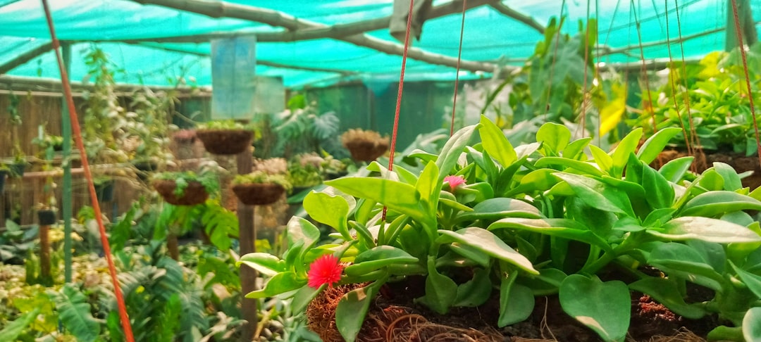 Conquering the Webworm Invasion: A Gardener's Guide