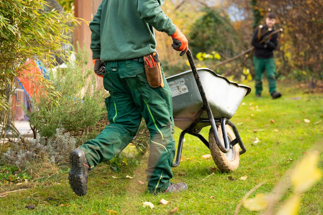 Unveiling the Ideal Raised Bed Garden Layouts
