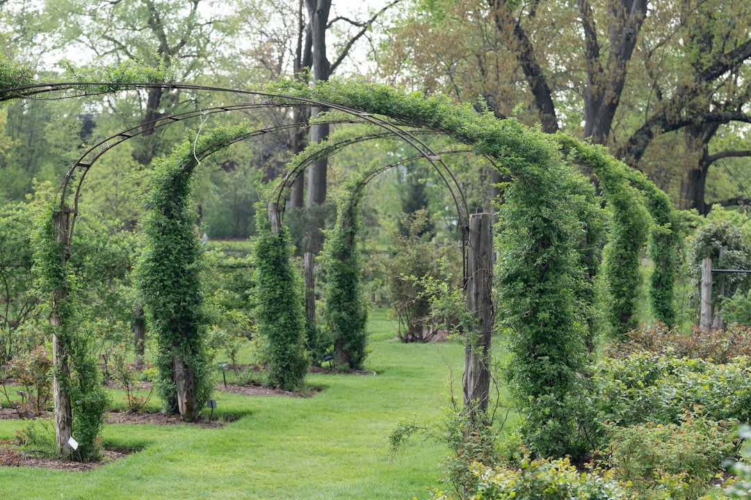 Unleashing the Power of No - Dig Gardening for a Thriving Garden