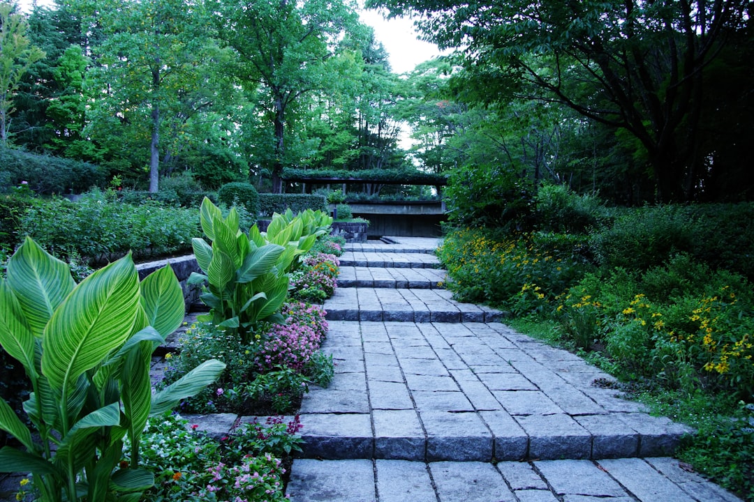 Transform Your Borders with a Cool - Hued Garden