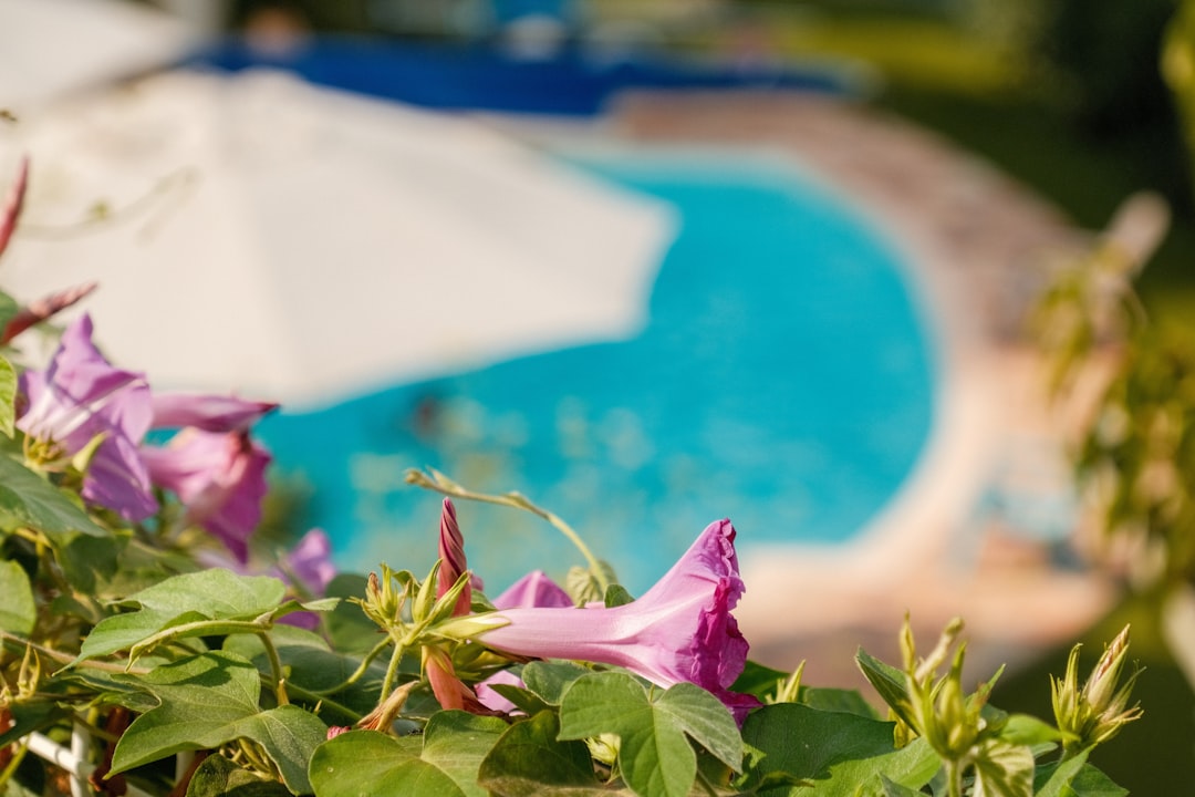 Elevate Your Greenery: Mastering Ceiling Plant Hanging